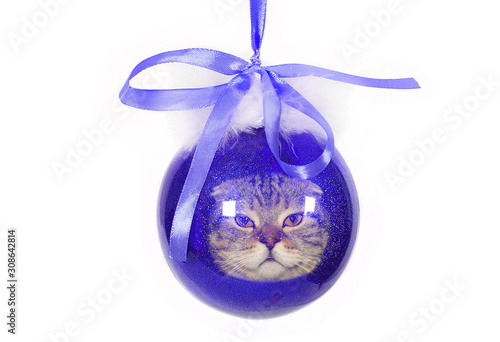 blue Christmas toy with Banik and cat face on white background photo