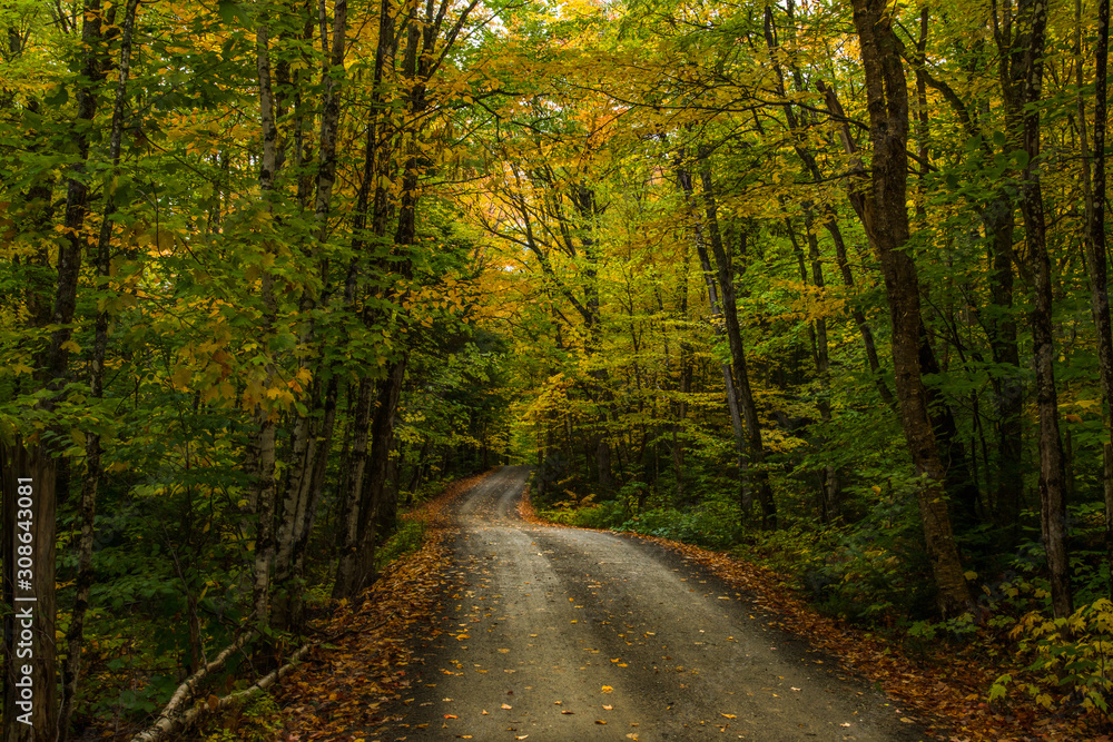 Obraz premium A Beautiful Mountain Road in Autumn
