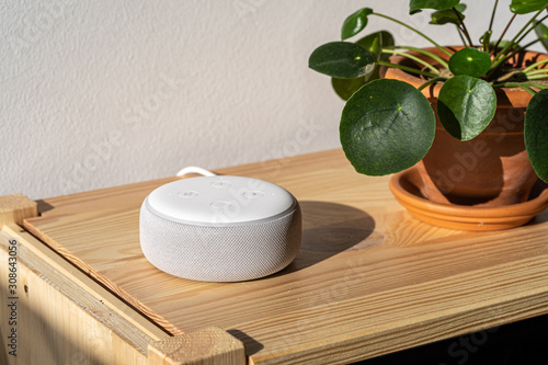 VIENNA,AUSTRIA - December 4 2019: Amazon Alexa Echo on a wooden bench with green plants in the background © Michael