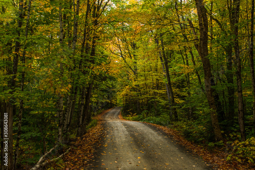 A Beautiful Mountain Road in Autumn © Kerry Hargrove