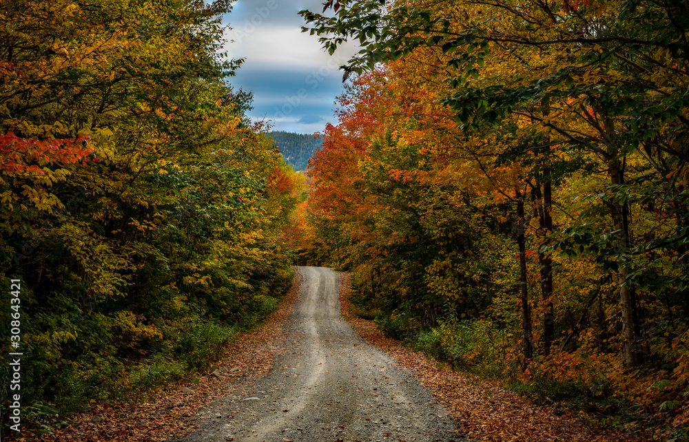 A Beautiful Mountain Road in Autumn