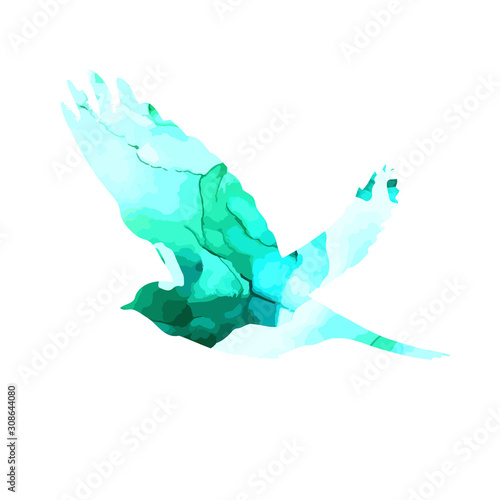 Bird abstract watercolor silhouette. . Mixed media. Vector illustration