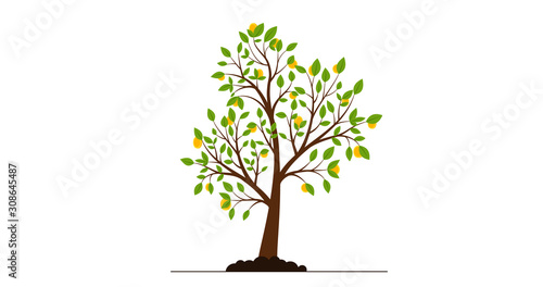 Money tree with coins, money tree growth, flat design, yellow coins.