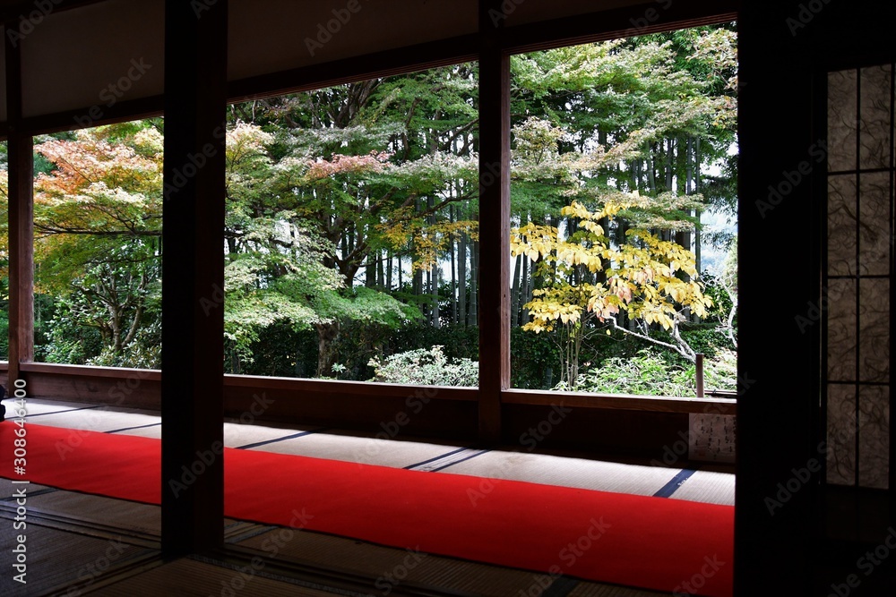 座敷の奥から望む趣のある秋の風景 大原 京都 座敷の奥から望む趣のある秋の風景 大原 京都