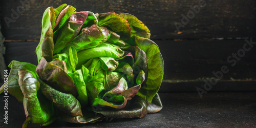Photography lettuce or romano salad, salad leaves (lettuce bush, green crop petals, vitamins Roman salad, Batavia) menu concept