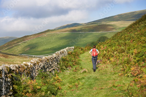 A female hiker walking through the countryside of Coquetdale in Northumberland, England.