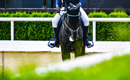 Beautiful girl on black horse in jumping show, equestrian sports. Horse and girl in uniform going to jump. Horizontal web header or banner design.
