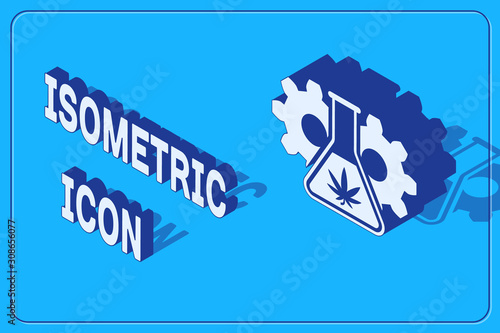 Isometric Chemical test tube with marijuana or cannabis leaf icon isolated on blue background. Research concept. Laboratory CBD oil concept. Vector Illustration