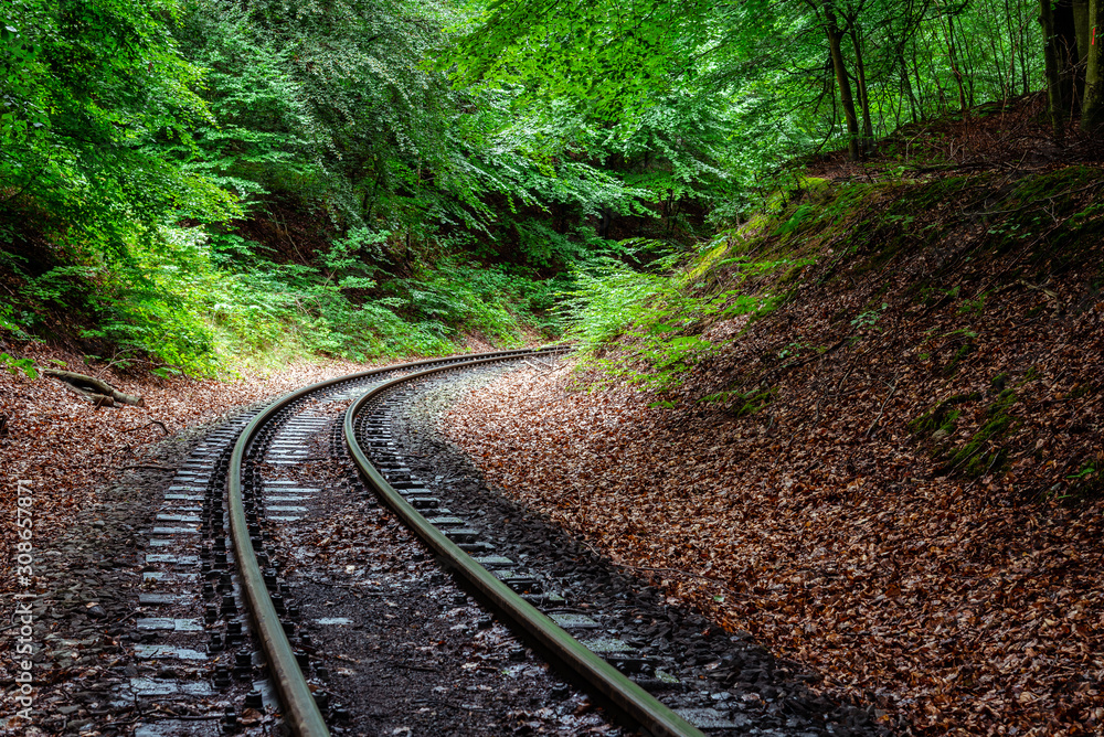 Narrow-gauge railway in woodland area of Granitz in Rugen Island, Germany
