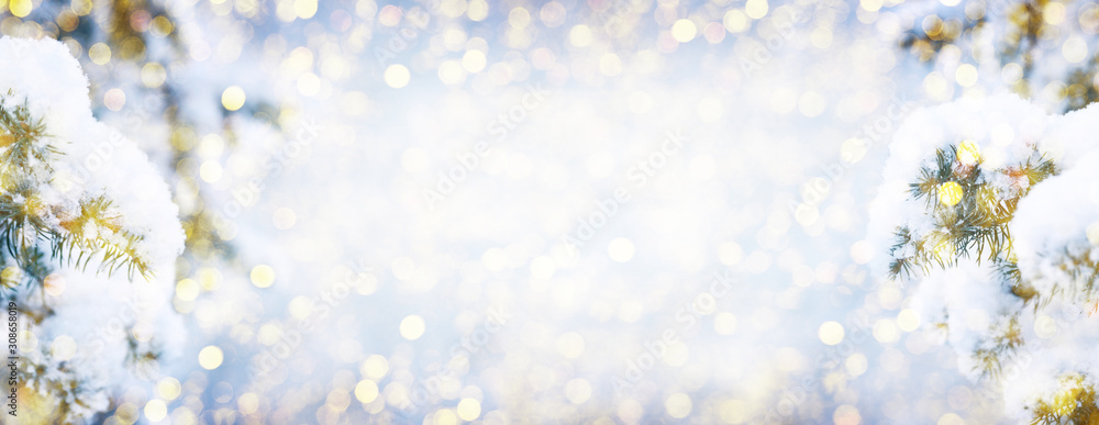 Winter fir tree christmas scene with sunlight. Winter fir tree christmas scene with sunlight.