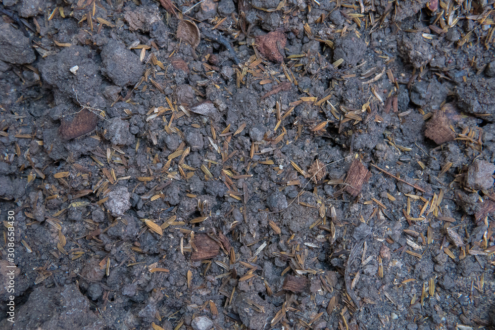 Soil for planting which contains ingredients from paddy Chopped coconut peel and many plant debris, Fertile soil suitable for planting Soil for planting which contains ingredients from paddy Chopped coconut peel and many plant debris, Fertile soil suitable for planting