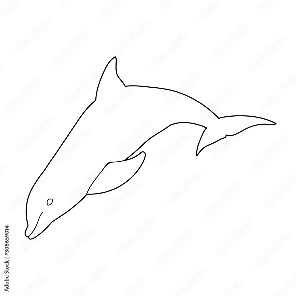 Obraz premium vector, isolated, dolphin outline, line, icon