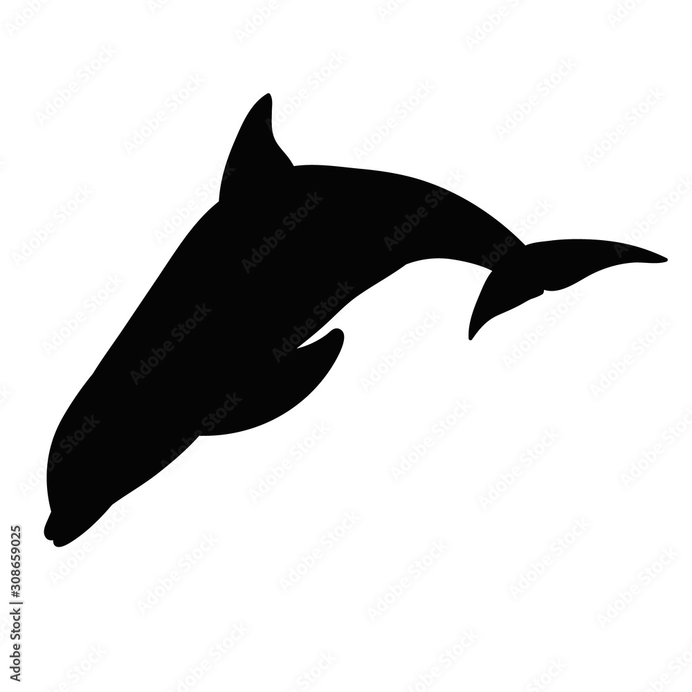 Fototapeta premium vector, isolated, silhouette of a dolphin