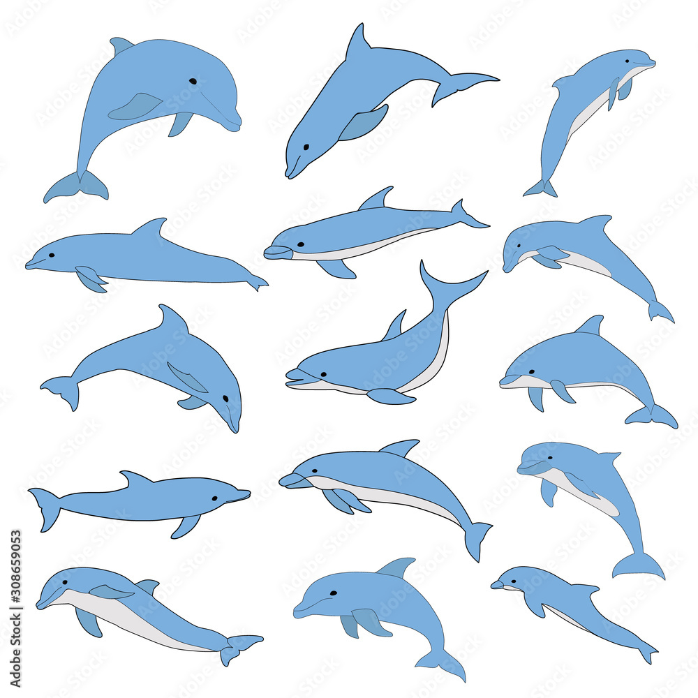 vector, isolated, marine dolphin, blue, jumping, set vector, isolated, marine dolphin, blue, jumping, set