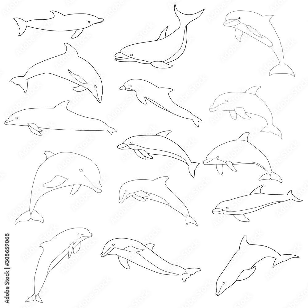 Obraz premium vector, isolated, dolphin outline, line, icon, set