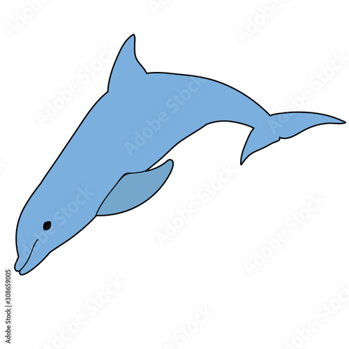vector, isolated, marine dolphin, blue
