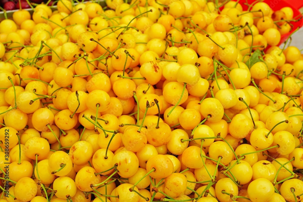 Fresh red and yellow cherries at a farmers market