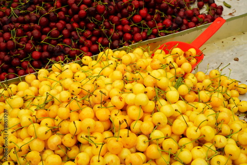 Fototapeta Naklejka Na Ścianę i Meble -  Fresh red and yellow cherries at a farmers market