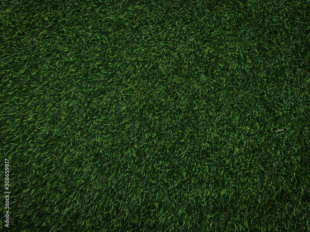 Obraz premium Green lawn texture background for design