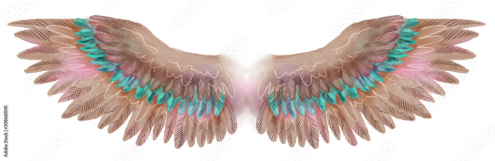 Fototapeta Brązowe skrzydła z zielonymi piórami, akwarela dtyle