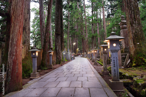Koyasan, Japan - November 20, 2019: Walkway to Kobodaishi Gobyo Mausoleum at Okunoin Cemetery Park in Mount Koya, Japan. Mount Koya is UNESCO World Heritage Site- Sacred Sites