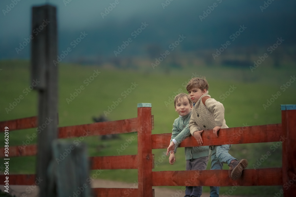 Two brothers of the boy sit on a ranch on a wooden fence against a green field. Two brothers of the boy sit on a ranch on a wooden fence against a green field.