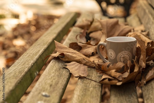 .fall leaf and coffee on bench . autumn concept