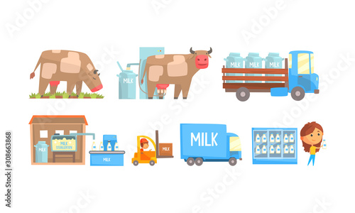 Stages of Milk Production Vector Illustrated Set