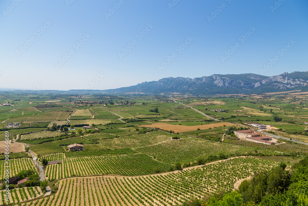 Laguardia, Spain. Scenic landscape: vineyards in a mountain valley