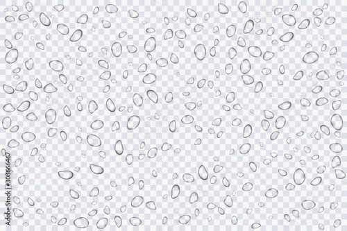 Water drops, rain splashes isolated on transparent background. Realistic for your design. Vector illustration EPS 10.