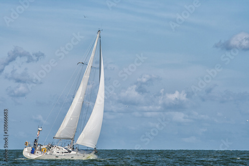 Solo sailing © Patricia