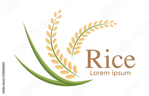 grain organic natural product ,rice icon,vector design