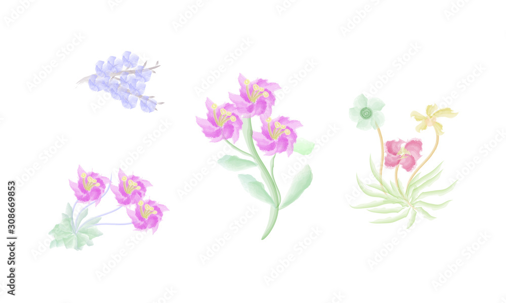 collection of flower isolated on white with water color collection of flower isolated on white with water color