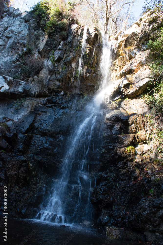 Fototapeta premium W lesie # 28