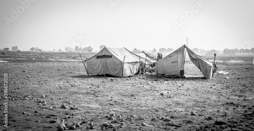tent on the dry land because of the water shortage and no food © Ali Magsi