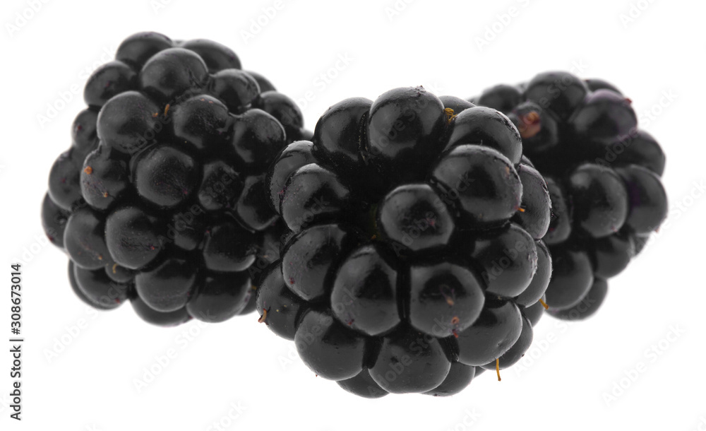 Blackberry berries isolated on a white background close-up. Vegetarian healthy food. Blackberry berries isolated on a white background close-up. Vegetarian healthy food.