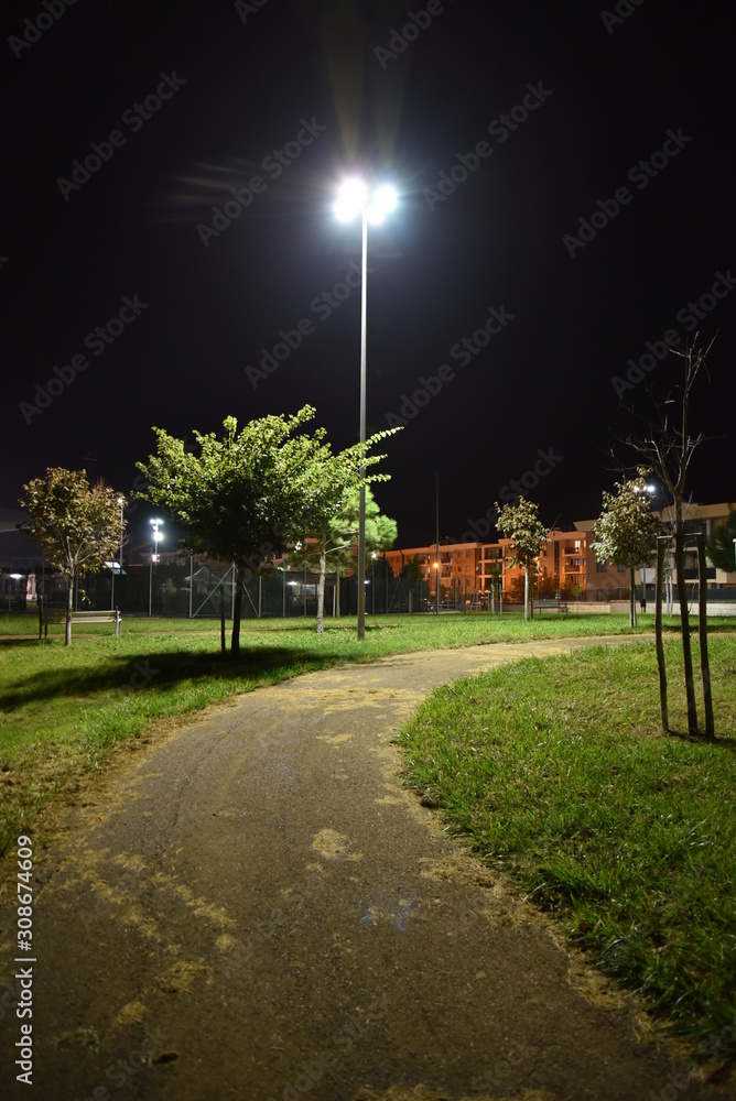 Obraz premium Night Illuminated park by Night in the City