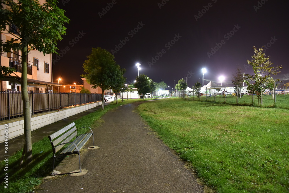 Obraz premium Park by Night with Bench Illuminated by Lamps