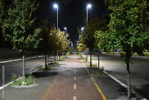 Night Bicycle Path illuminated by Lamps with Trees