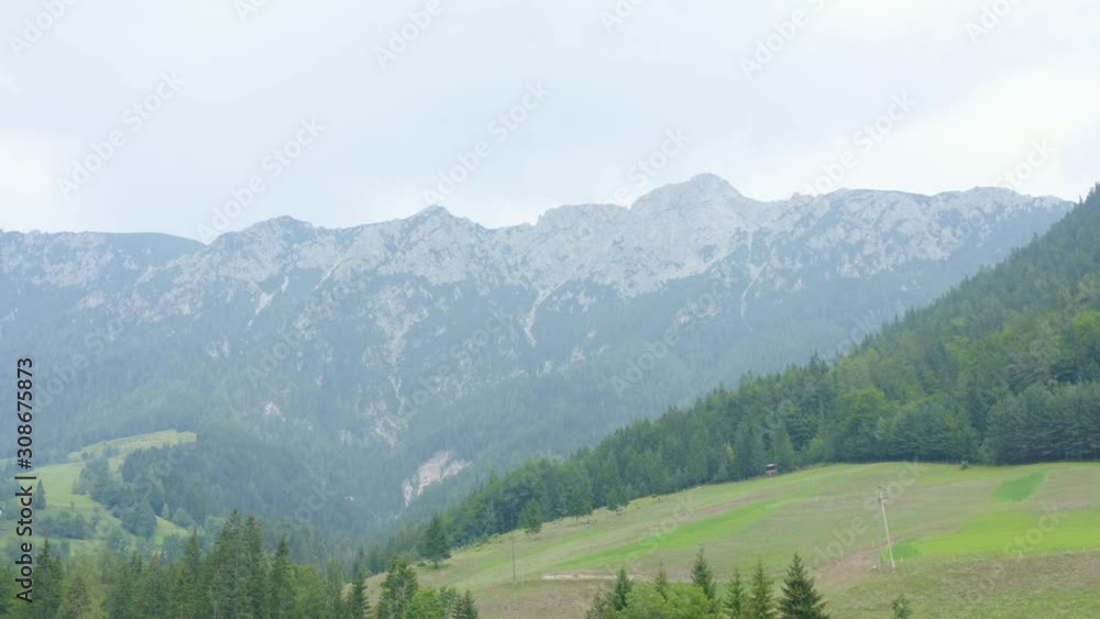 Mountains with forest of dense coniferous trees and meadow with green grass in foggy weather Mountains with forest of dense coniferous trees and meadow with green grass in foggy weather