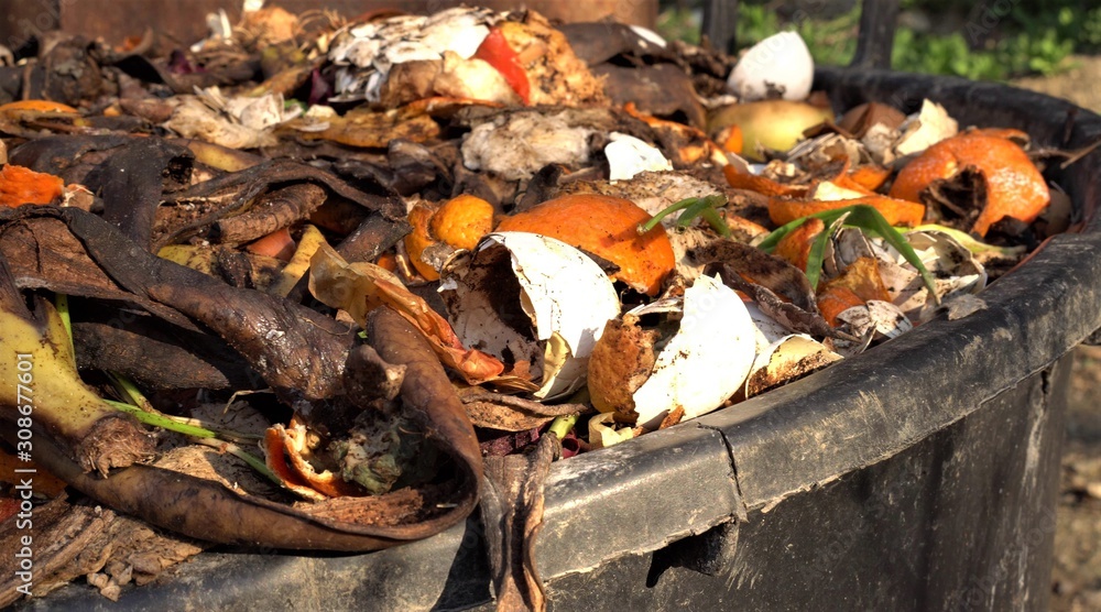 Home compost bin. Heap of wet organic matter known as green waste