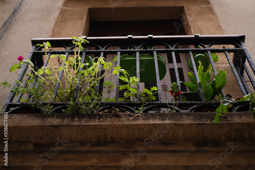 Balcón con plantas en macetas