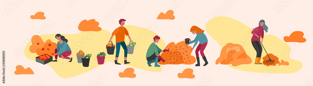 People gathering crops or seasonal harvest, collecting ripe vegetables, picking fruits and berries, remove leaves. Men, women work on a farm. Agricultural workers in autumn. Cartoon vector - obrazy, fototapety, plakaty 