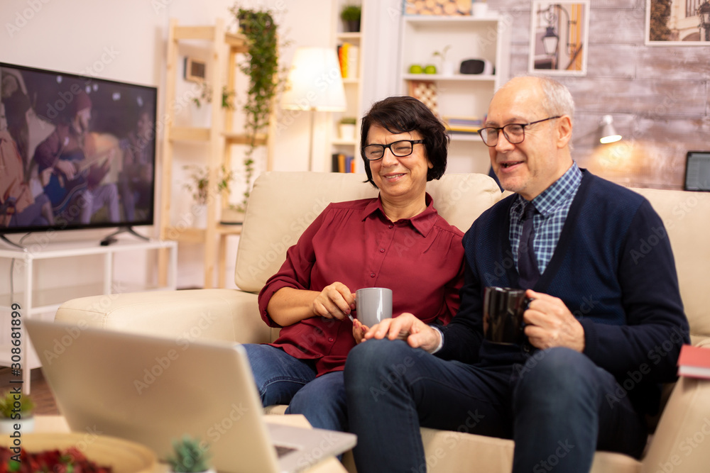 Elderly old couple using modern laptop to chat with their grandson