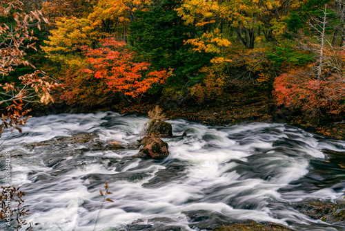 View of Yukawa River flow rapidly passing rocks in colorful foliage of autumn season at the city of Nikko, Tochigi Prefecture, Japan photo