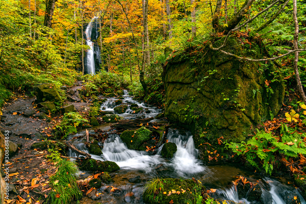 View of Komoi no Tagi waterfall in autumn season at Oirase Gorge with the colorful foliage forest and the green mossy rocks covered with the falling leaves in Towada Hachimantai National Park, Japan. - obrazy, fototapety, plakaty 