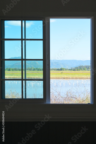 View from the window to mountain and field.