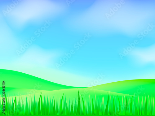 Green meadow background. Vector illustration for poster or banner.