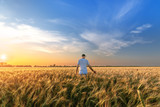 man standing on a field of wheat / evening landscape fields Ukraine