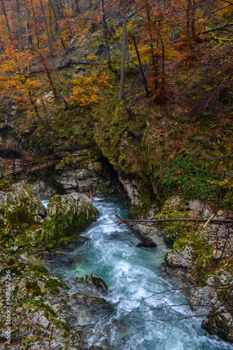 Fototapeta Naklejka Na Ścianę i Meble -  Vintgar gorge in Slovenia